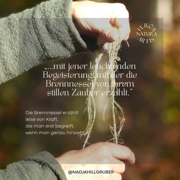 Sternenbild_Brennnessel__1_.jpg