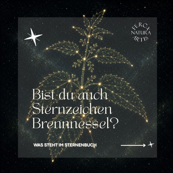 Sternenbild_Brennnessel__4_.jpg