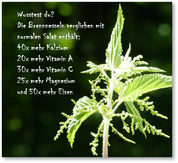 Bild3.png