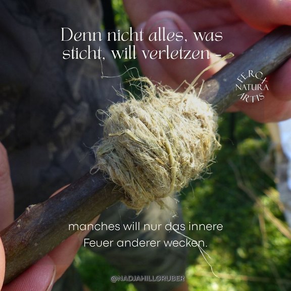 Sternenbild_Brennnessel__2_.jpg