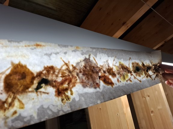 20261016_194744.jpg