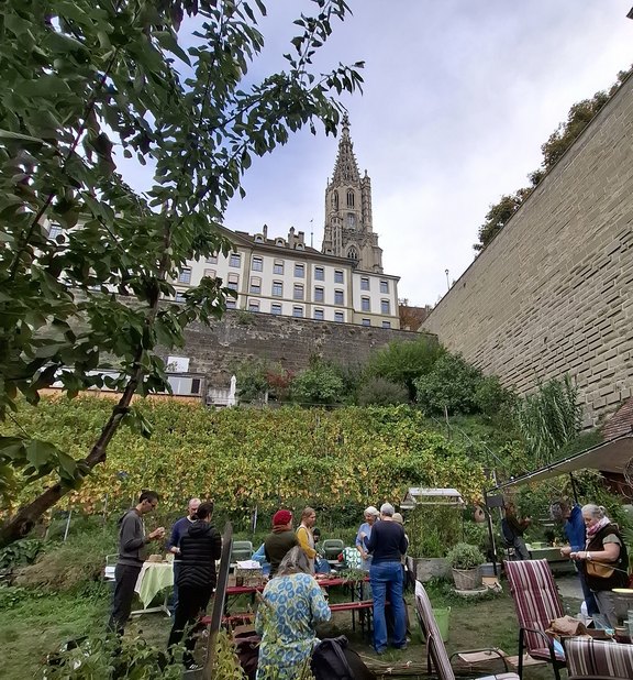 Stiftsgarten_Bern.jpg
